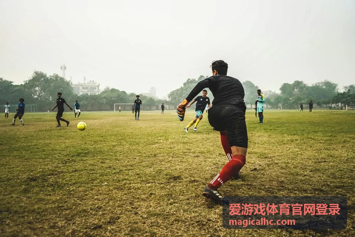 爱游戏体育官网登录验证码与密码校验流程示意